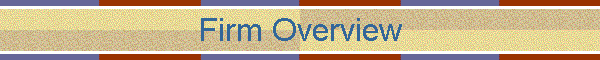 Firm Overview